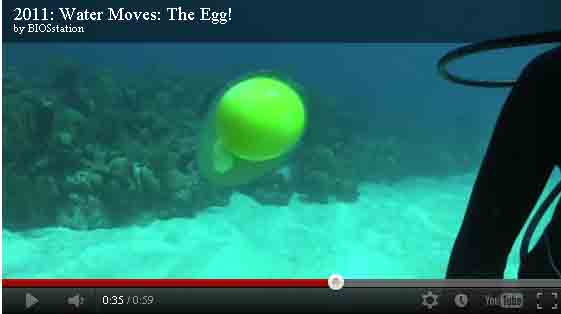 海底打破雞蛋該怎麼辦