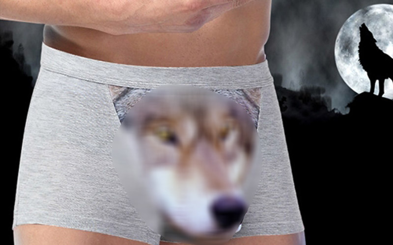這個立體感十足的「野狼內褲」號稱真男人才能穿上它，誰敢來挑戰成果讓網友們都笑翻了