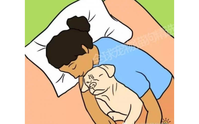 究竟人類和狗狗一起睡覺會不會影響身體呢7個理由告訴你，就是該和牠們一起睡