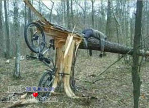 腳踏車騎太快，撞到樹了。