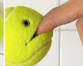 這顆網球比小精靈更可愛啊~哪買啊