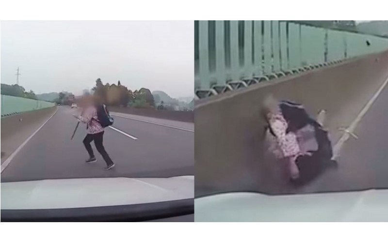都沒在看的…三寶一衝被路殺  她橫竄高速公路 下場「四肢扭曲噴飛」駕駛嚇瘋 （影）