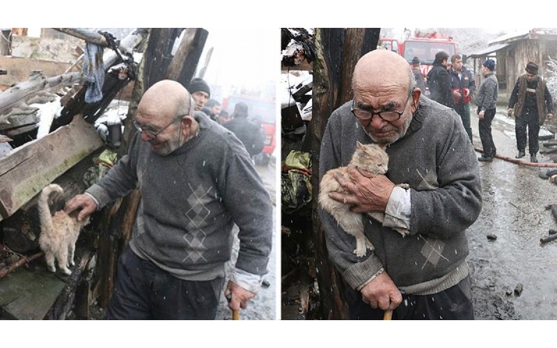 「你沒事就好了  」83歲老爺爺房子被燒掉  在火場找到貓咪立馬淚崩緊抱...超催淚