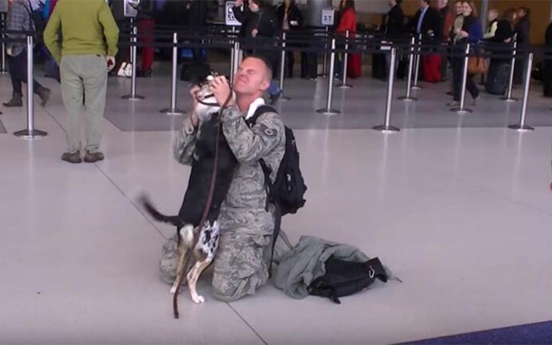 軍人爸爸終於回家「狗狗趕來接機」重逢瞬間，牠的反應令人融化